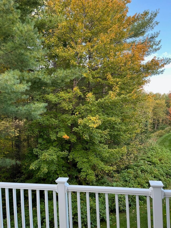 Building Photo - 14 Ledges Ct