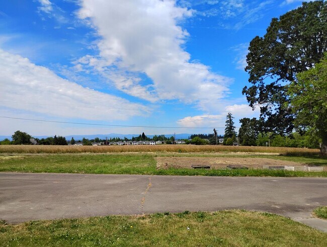 Building Photo - Refurbished home with Basement and large yard