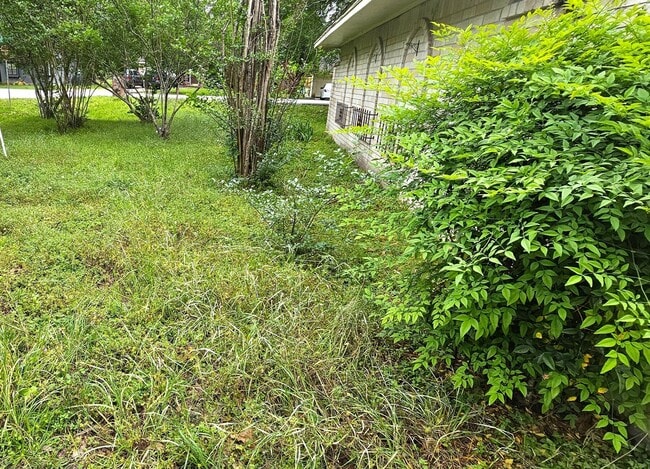 Building Photo - 3303 Roaming Woods Ln