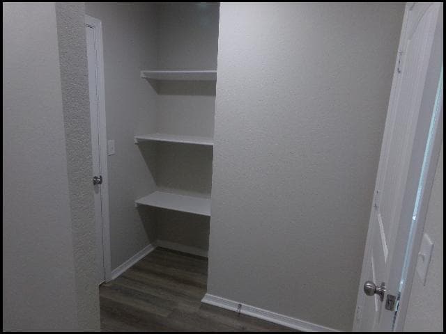 Building Photo - 5009 Windflower Cv