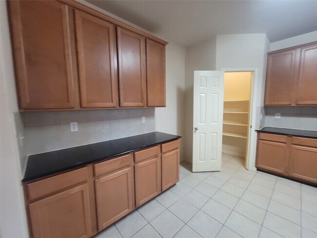 Building Photo - 2719 Indigo Stone Ln
