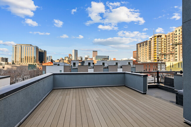 Rooftop Terrace - 80 W 10th Ave