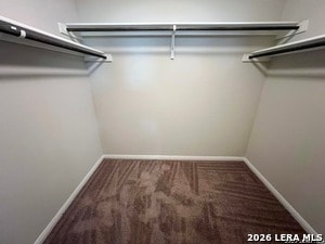 Building Photo - 4810 Red Bandit St