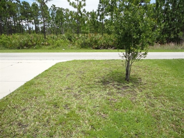 Building Photo - 13719 Phoenix Dr