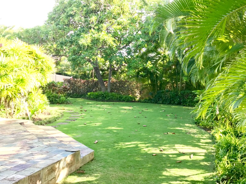 Building Photo - 813 Hunakai St