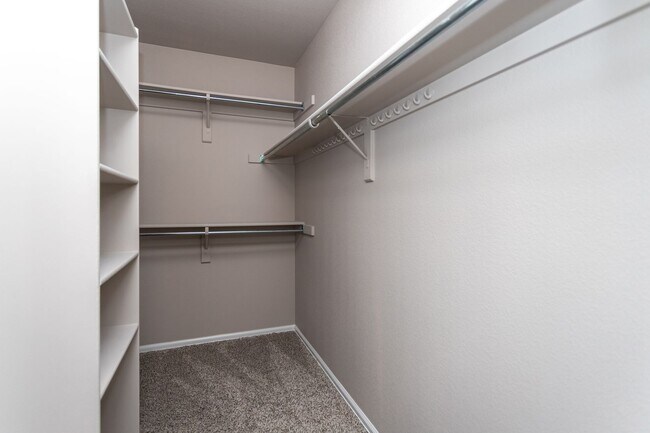 Building Photo - Beautiful 4-bedroom 3-bath located in Stetson Hills!