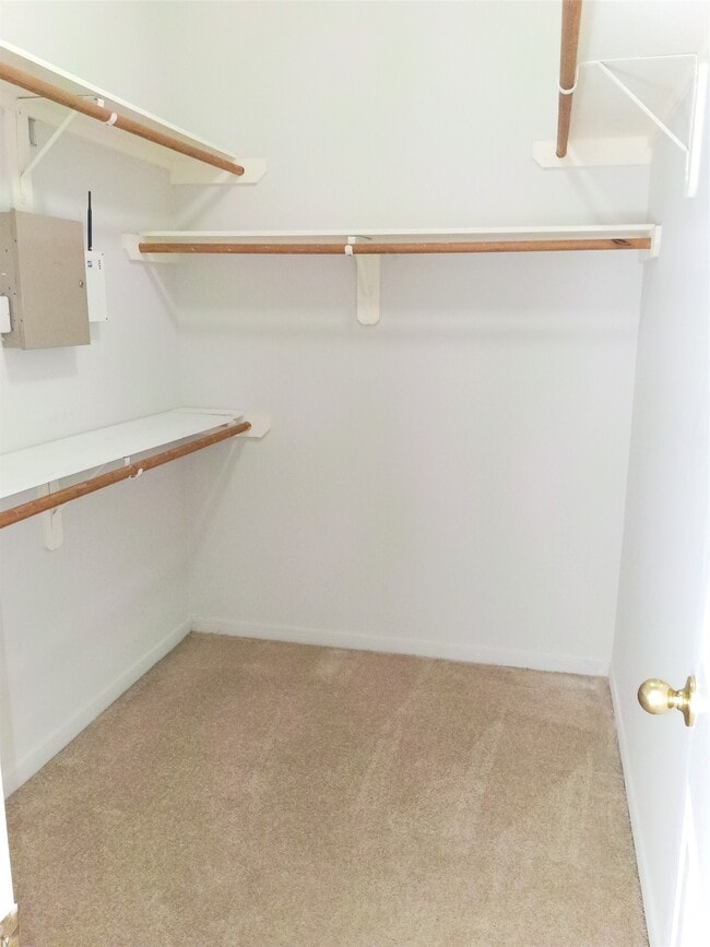 Building Photo - 23902 Spring Dane Dr