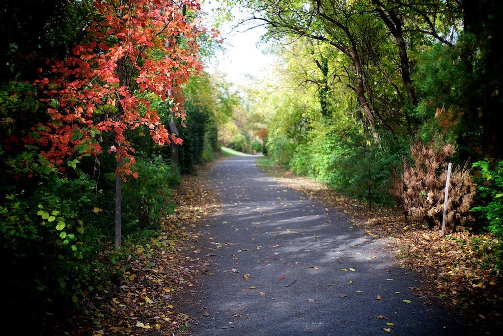 Hiking trail behind the property - 1800 West Abingdon Drive