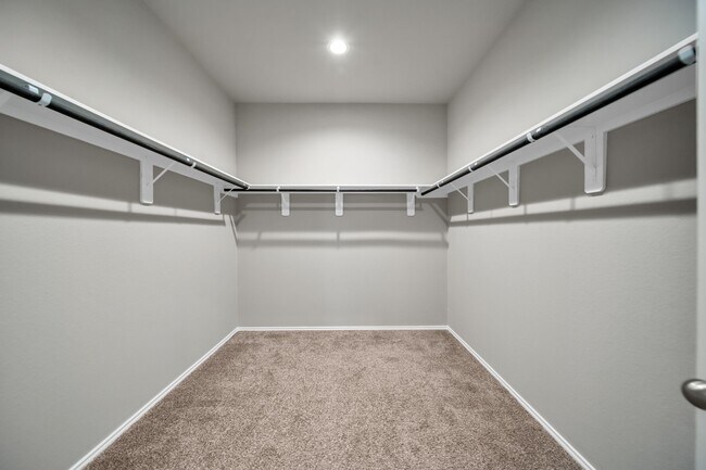 Building Photo - 22614 Petrizzi Ln