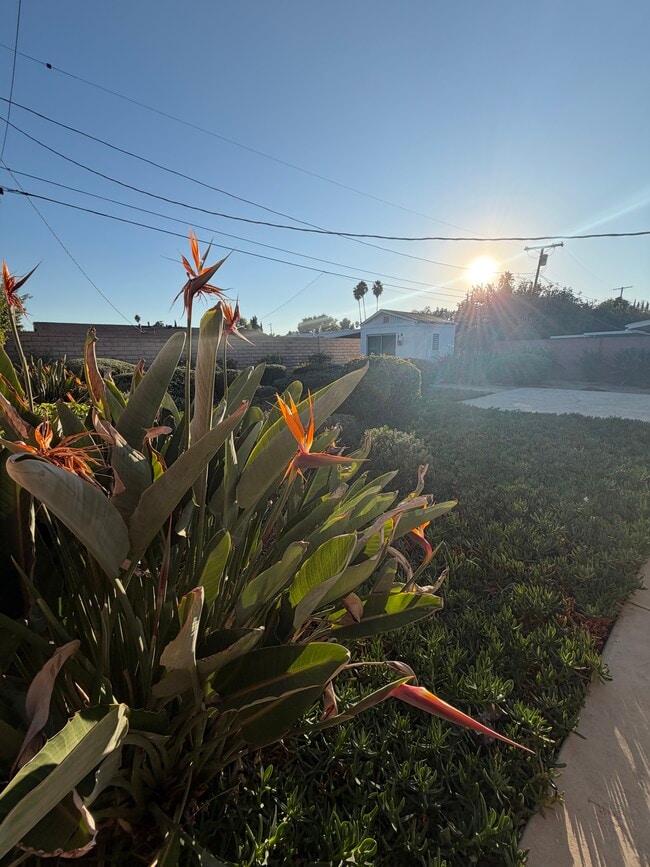 Building Photo - 20622 Archwood St