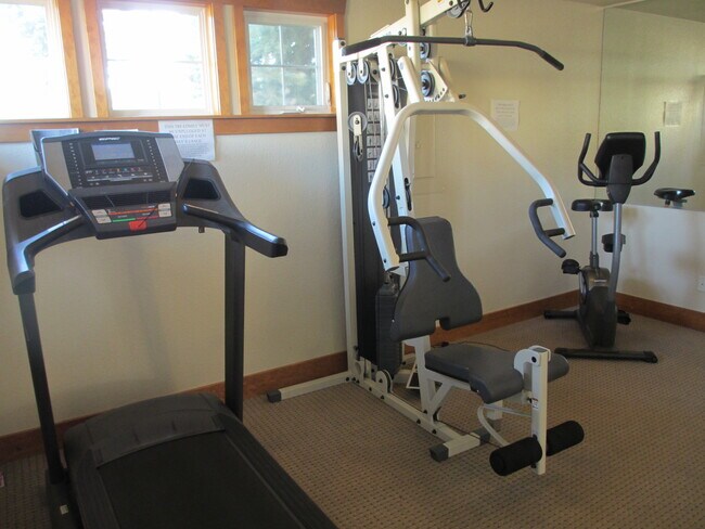 Work Out - 4815 Hahns Peak Dr