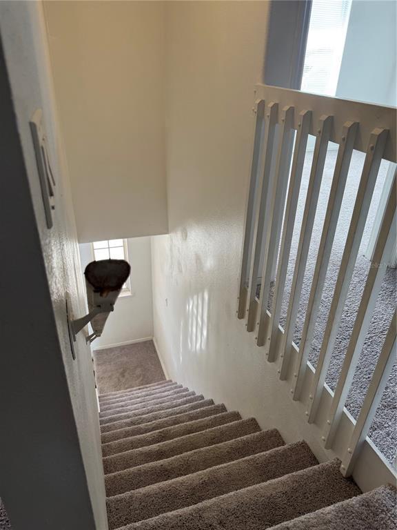 Building Photo - 1349 Ivy Meadow Dr