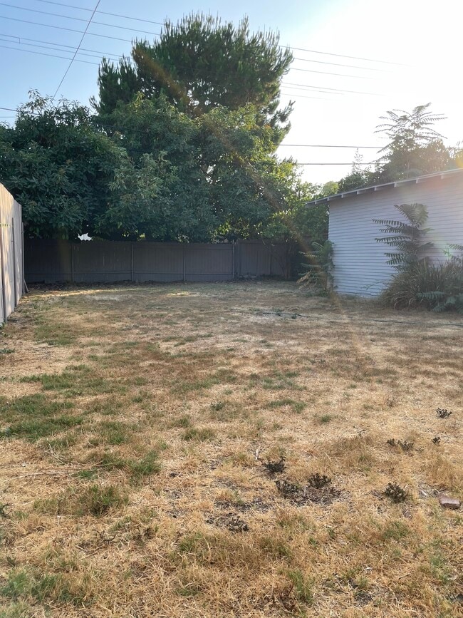 Back Yard (Dog Heaven) - 3346 La Clede Ave