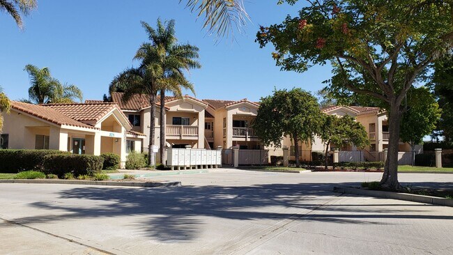 Building Photo - Downstairs Condo Located in the Gated Community of Las Palmas