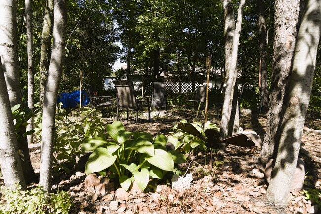 Building Photo - 3360 Patti Dr