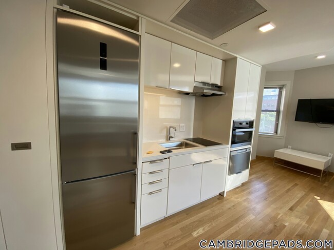 Building Photo - 115 Mt Auburn St