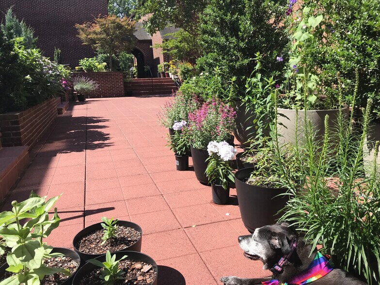 Building Photo - 1715 15th St NW