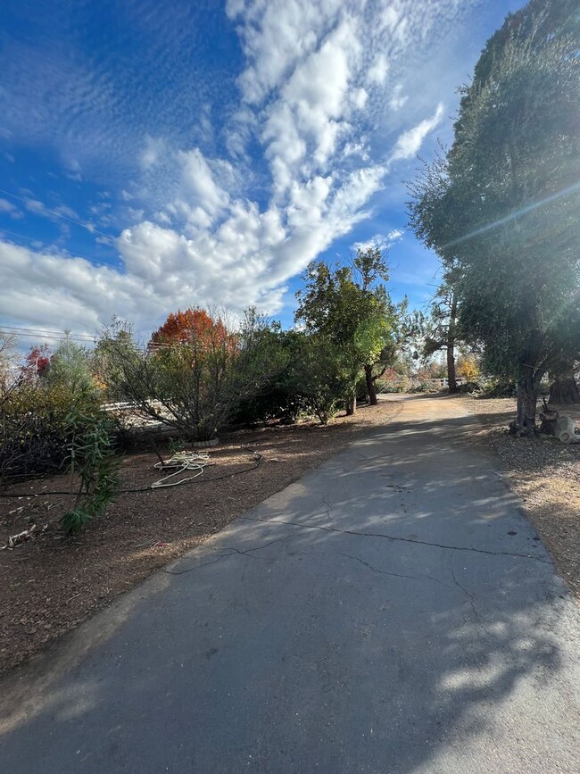 Building Photo - Wonderful Palo Cedro Neighborhood country ...