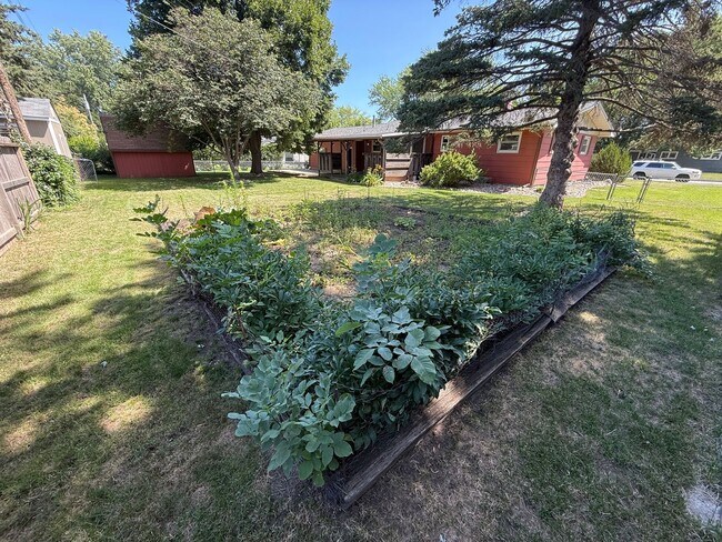 Building Photo - Retro Style Home with Massive Backyard