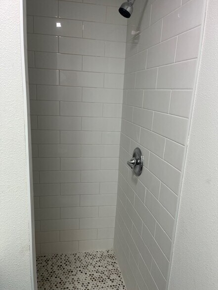 Basement Shower - 636 NE Prescott St