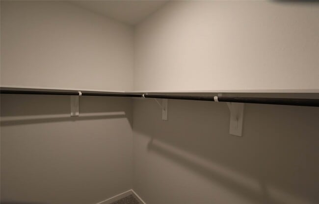 Building Photo - 8603 Blueberry Ash St