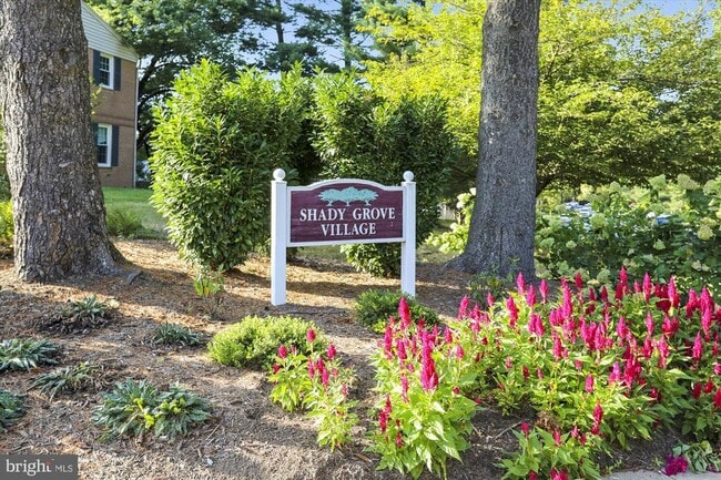 Building Photo - 36 Prairie Rose Ct