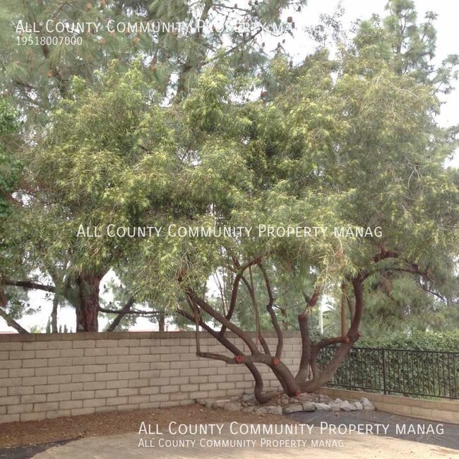 Building Photo - 6563 Whitman Ct
