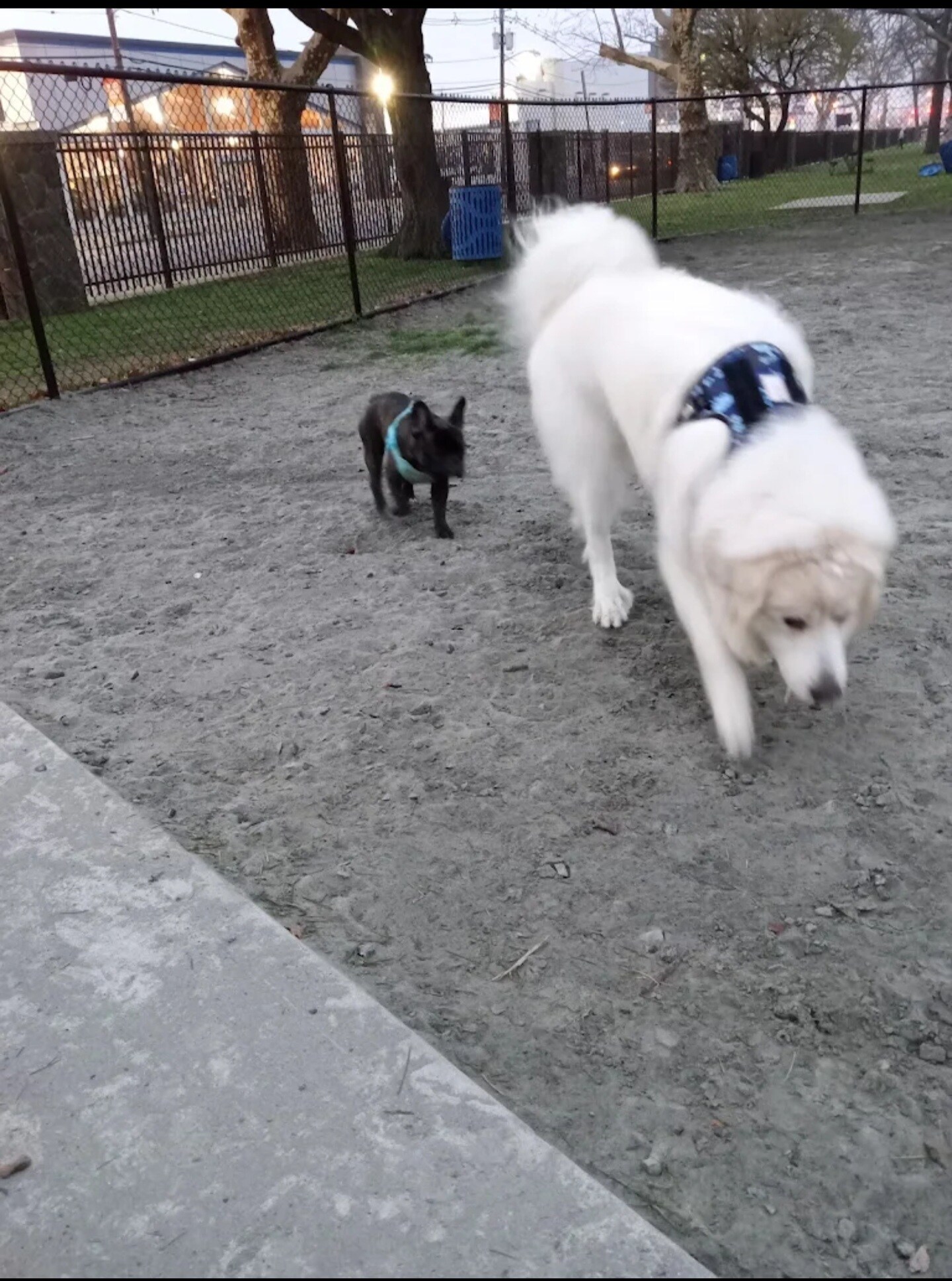 Building Photo - 228 Duncan Ave