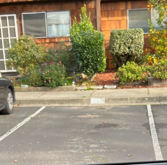 Building Photo - Redwood Park Estates Condo.  Available NOW!