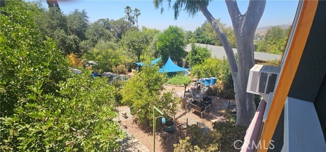 Building Photo - 11023 Tujunga Canyon Blvd