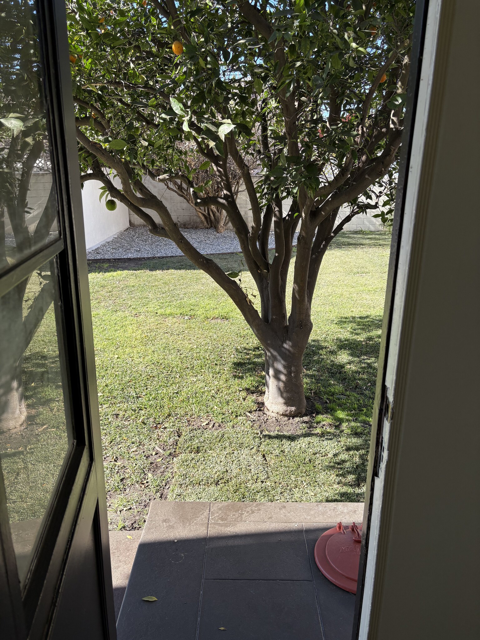 Door leading from Laundry Room - 3917 6th Ave