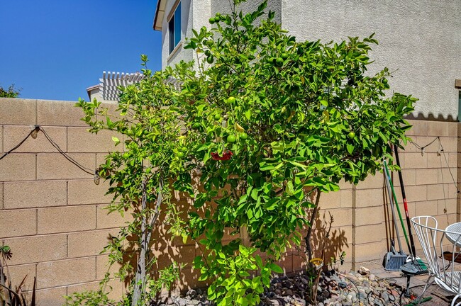Building Photo - Stunning Southern Highlands three bedroom!