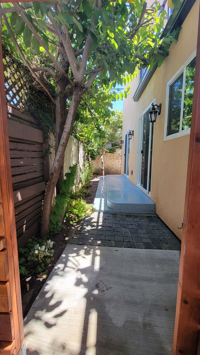 Outside Patio - 5717 Airdrome St