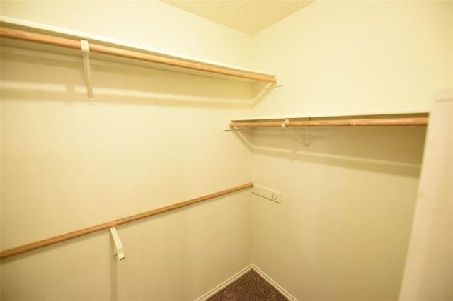 Building Photo - 6419 Brookhaven Trail