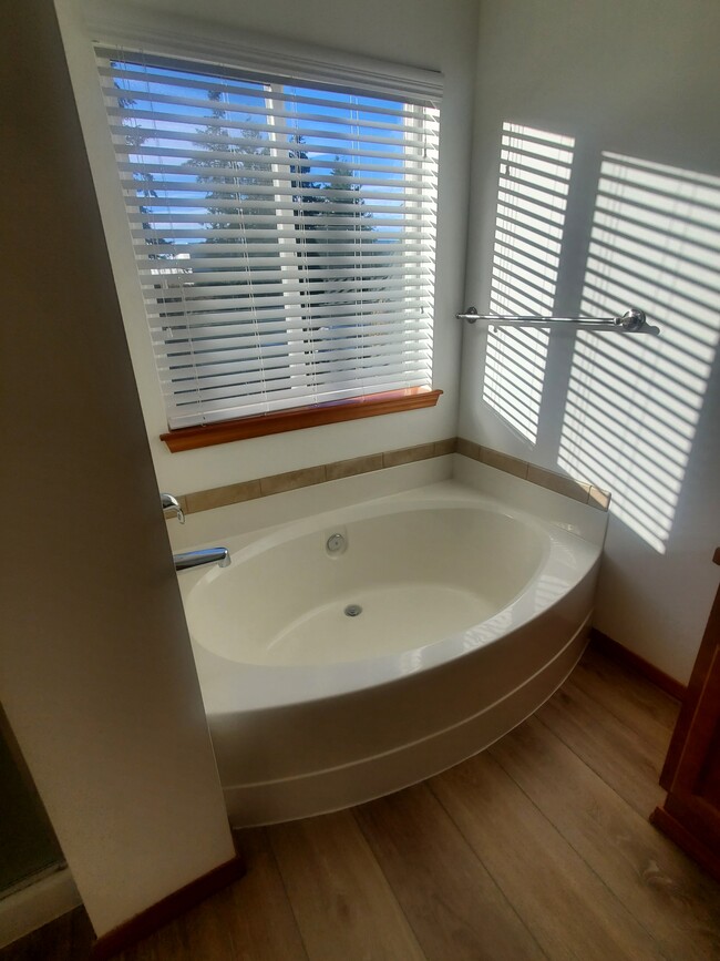 master bath tub and shower - 4107 207th Street Ct E