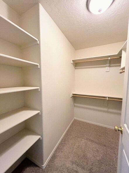 Building Photo - 1129 Golden Pheasant Dr