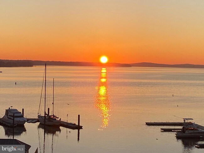 Building Photo - 421 Concord St