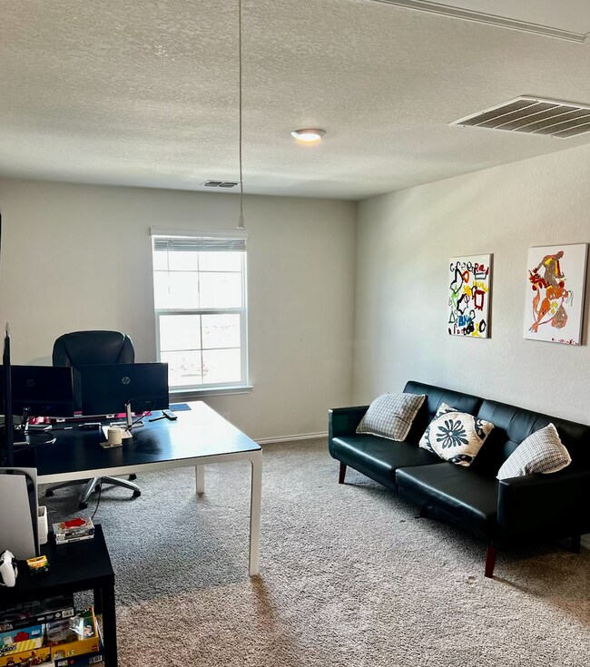 Building Photo - Gorgeous 4 Bedroom New Build in St. Hedwig!