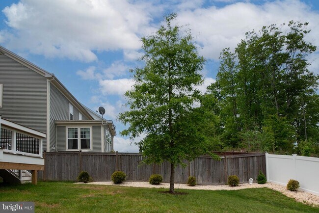 Building Photo - 547 Apricot St