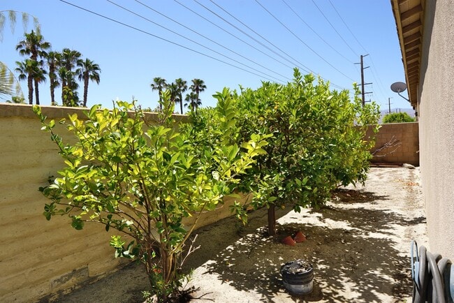 Building Photo - 67988 Cancha Cheyene