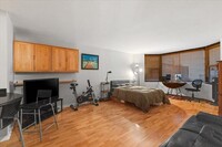 Building Photo - 0 bedroom in Chicago IL 60611