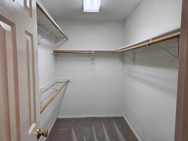 Building Photo - 3209 Avery Ln