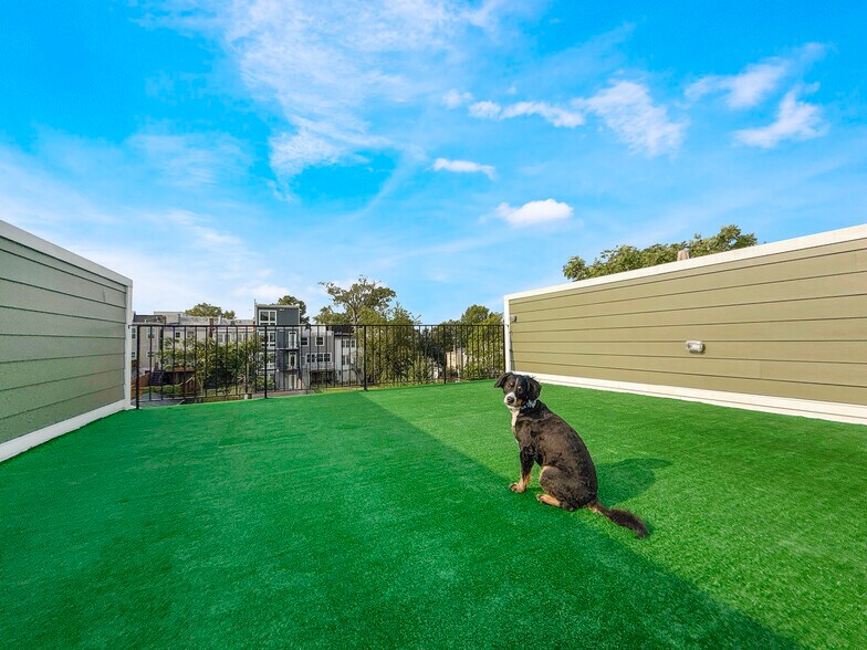 Primary Photo - 318 Webster St NW