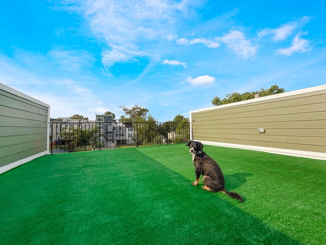 Building Photo - 318 Webster St NW