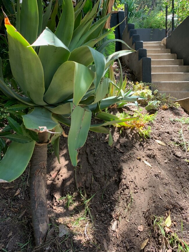 Building Photo - 702 Cavanagh Rd