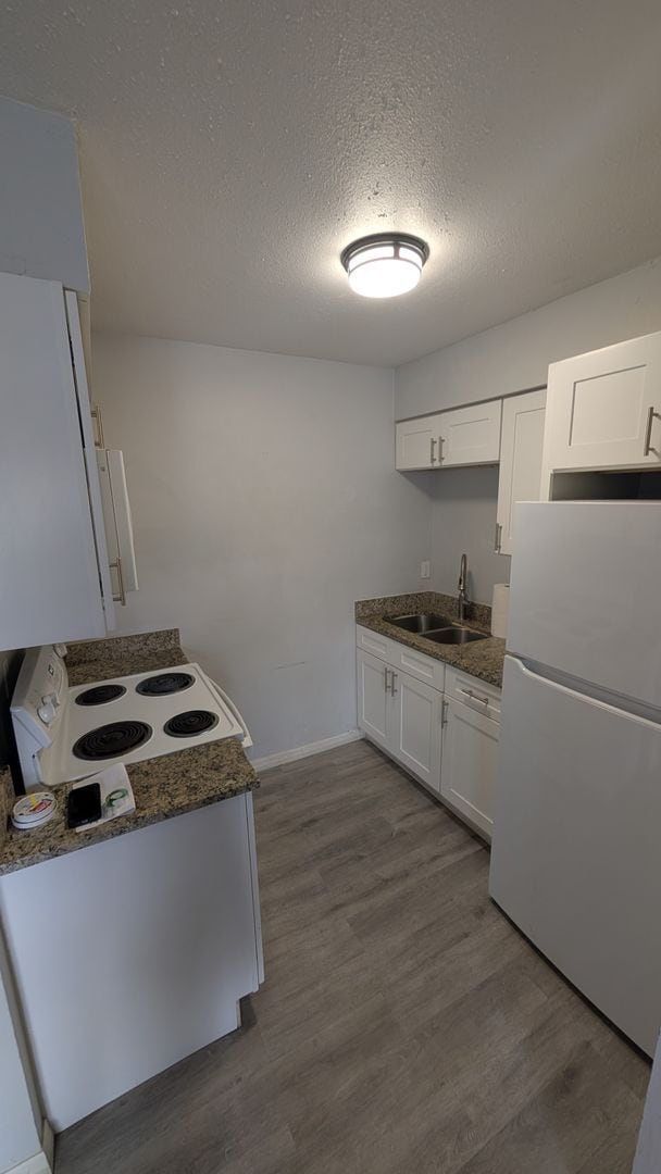 Building Photo - Warm and Cozy one bedroom,dog park, heart of Tampa