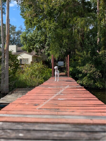 Building Photo - 5568 La Moya Ave