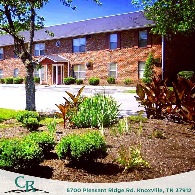 Building Photo - Creek Ridge Apartments