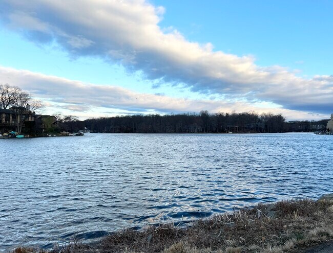 Lake that is a 2-5 minute walk from property - 11200 Beaver Trail Ct