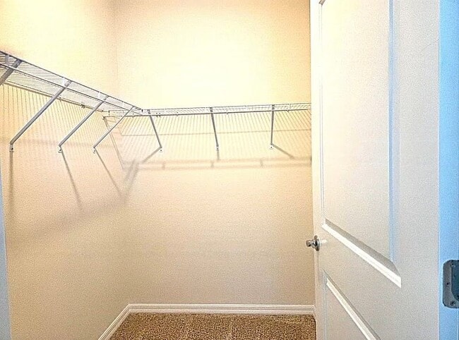 Building Photo - 3908 Mossy Limb Ct